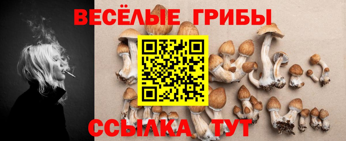 Галлюциногенные грибы MAGIC MUSHROOMS  Вход с VPN  цена   Дивногорск 